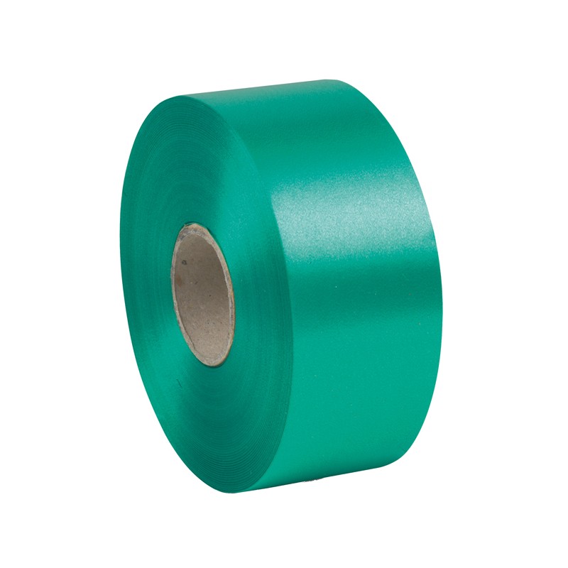 Nastro Liscio 6800 50mmx100mt Colore Verde Bandiera 09 Brizzolari