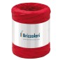 Rafia Sintetica 6802 5mmx200mt Colore Rosso 07 Brizzolari