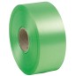 Nastro Liscio 6800 50mmx100mt Colore Verde Chiaro 10 Brizzolari