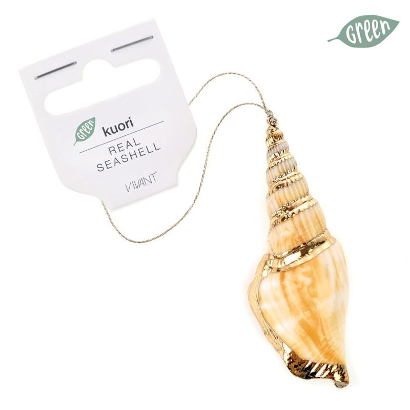 Kuori Conchiglia Shellornament 0114 6,5x2cm 70 Crème/ivory