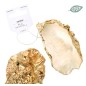 Ostrica Oyster Ornament 0249d 9x5cm. 51 Gold