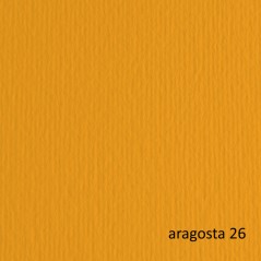 Bristol Colorato 100x70 G.200 Aragosta