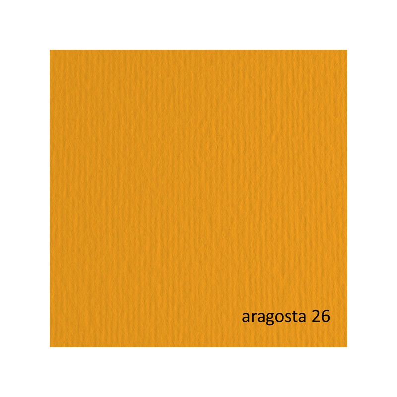Bristol Colorato 100x70 G.200 Aragosta