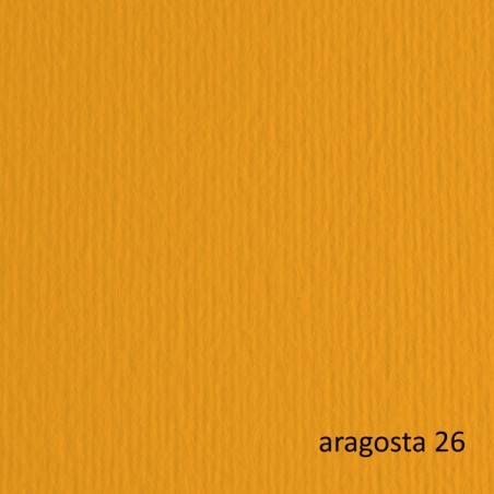 Bristol Colorato 100x70 G.200 Aragosta