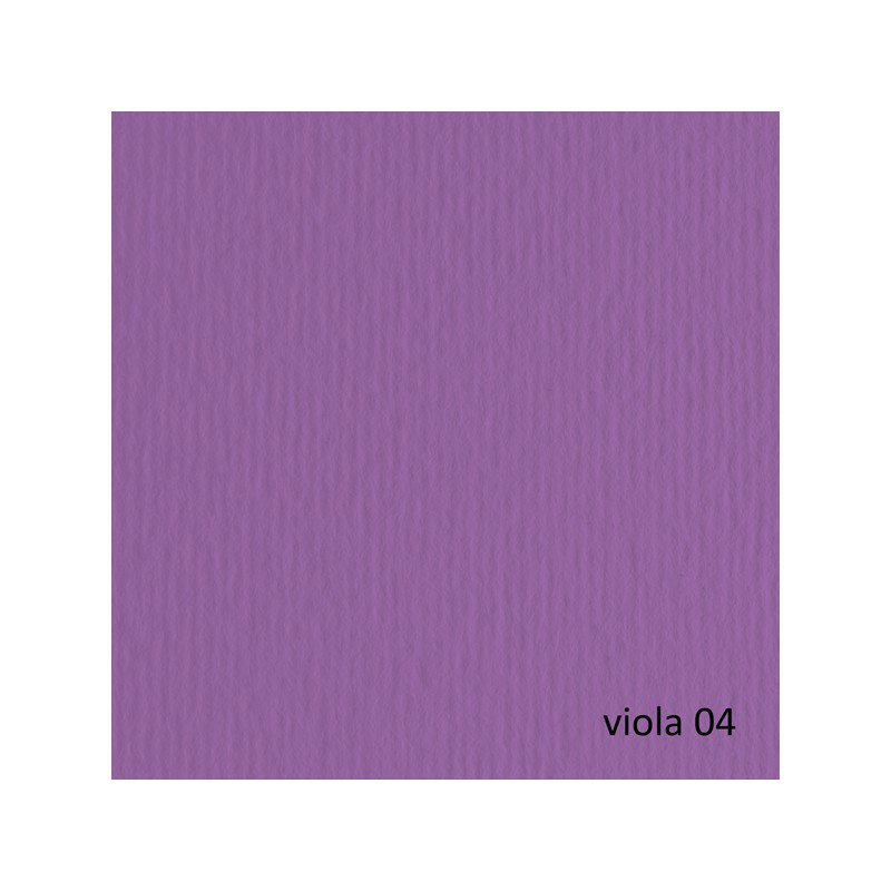 Bristol Colorato 100x70 G.200 Viola
