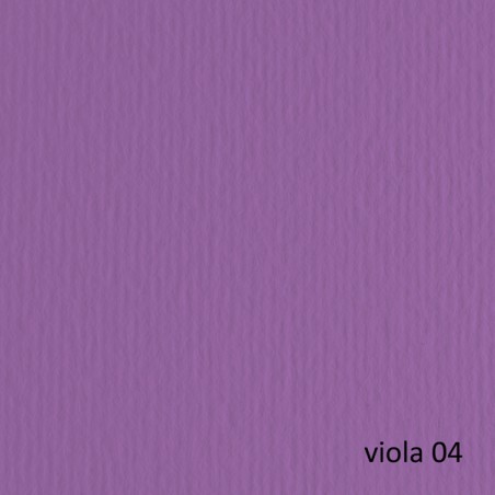 Bristol Colorato 100x70 G.200 Viola